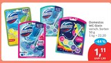 WC-Stein von Domestos für 1,11 € bei budni im Angebot WC-Stein von Domestos im aktuellen budni Prospekt