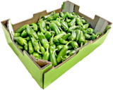 Aktuelle Paprika Angebote bei METRO in Hildesheim Aktuelles Bratpaprika Angebot bei METRO in Hildesheim ab 10,69 €