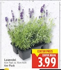 Lavendel im Angebot bei E center in Falkensee Lavendel Angebote bei E center Falkensee für 3,99 €