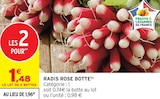 Promo Radis Rose Botte à 1,48 € dans le catalogue Intermarché Contact à Bourg-Lastic