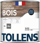 Peinture extérieure bois - Tollens dans le catalogue Castorama