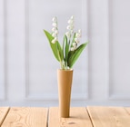 Muguet 3 brins + 1 feuille en promo chez U Express Mérignac à 2,99 €