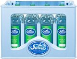 Mineralwasser im Angebot bei Kaufland in Coesfeld Mineralwasser Angebote von SALVUS bei Kaufland Coesfeld für 3,49 €