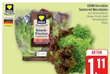 Angebot im EDEKA Dresden Prospekt EDEKA Dresden Prospekt mit im Angebot fĂŒr 1,11 âŹ