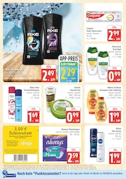 Marktkauf Shampoo im Prospekt 