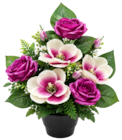 Bazarland Revin - Promo Pot de roses, magnolias et mini-fleurs Promo Pot de roses, magnolias et mini-fleurs à 7,99 € dans le catalogue Bazarland à Revin
