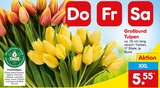 Großbund Tulpen Angebote bei Netto Marken-Discount Rastatt für 5,55 €