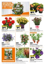 Blumen Angebot im aktuellen OBI Prospekt auf Seite 2