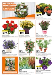 Ähnliche Angebote wie Tulpen im Prospekt "BIBERSTARKE ANGEBOTE" auf Seite 2 von OBI in Schorndorf