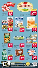 Maasdamer Angebote im Prospekt "Günstig. Besser. Für Dich." von Netto mit dem Scottie auf Seite 11