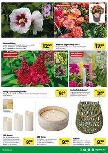 Blumen im aktuellen Hagebaumarkt Prospekt (Recklinghausen) Blumen im Hagebaumarkt Prospekt "SO günstig geht das!" mit 20 Seiten (Recklinghausen)