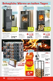 Aktueller Hellweg Prospekt mit Briketts, "Die Profi-Baumärkte", Seite 18