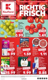 Aktueller Kaufland Supermarkt Prospekt in Flecken Zechlin und Umgebung, "Aktuelle Angebote" mit 52 Seiten, 21.08.2025 - 27.08.2025