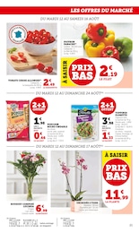 Offre Plante D'intérieur dans le catalogue Super U du moment à la page 21