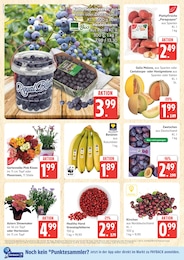 Äpfel Angebot im aktuellen Marktkauf Prospekt auf Seite 6