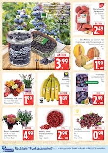 Volvic Angebot im aktuellen Marktkauf Prospekt auf Seite 6