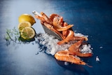 GAMBAS ENTIÈRES CUITES RÉFRIGÉRÉES - SANS MARQUE - Auchan Hypermarché à Hirson GAMBAS ENTIÈRES CUITES RÉFRIGÉRÉES - SANS MARQUE en promo chez Auchan Hypermarché Hirson à 8,99 €