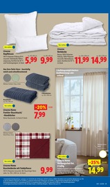 Kuscheldecke im Lidl Prospekt in Dessau-Roßlau Aktueller Lidl Prospekt mit Kuscheldecke, "LIDL LOHNT SICH", Seite 29