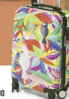 Valise exotique - Géant Casino à Clermont-Ferrand Valise exotique en promo chez Géant Casino Clermont-Ferrand à 24,90 €