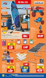 Lidl Trolley im Prospekt 