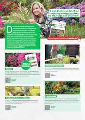 Aktueller Hagebaumarkt Prospekt mit Gartengeräte, "GARTENBEDARF", Seite 2
