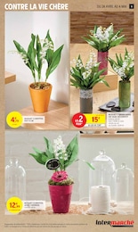 Offre Plante En Pot dans le catalogue Intermarché du moment à la page 11