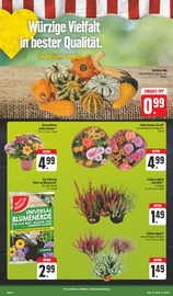 Aktueller EDEKA Prospekt mit Blumenerde, "Wir lieben Lebensmittel!", Seite 4