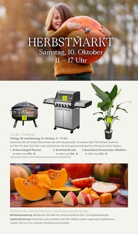 Gasgrill im aktuellen Pflanzen Kölle Prospekt (Hamburg) Gasgrill im Pflanzen Kölle Prospekt "Aktuelle Angebote" mit 16 Seiten (Hamburg)