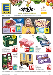 EDEKA Prospekt Wir lieben Lebensmittel! mit 42 Seiten