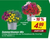 toom Baumarkt Mühlacker Prospekt mit  im Angebot für 4,99 €