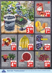 Kissen im EDEKA Prospekt in Buchholz Aktueller EDEKA Prospekt mit Kissen, "Top Angebote", Seite 8