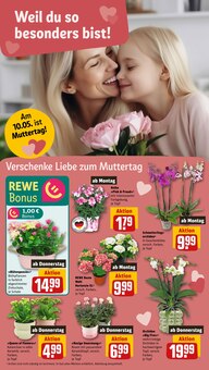 Pflanzen im REWE Prospekt "Dein Markt" mit 36 Seiten (Nürnberg)