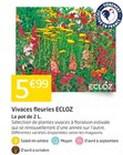 Promo Vivaces fleuries à 5,99 € dans le catalogue Jardiland à Haut-Mauco
