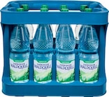 Netto Marken-Discount Hettstedt - Mineralwasser Angebot im Prospekt Mineralwasser bei Netto Marken-Discount im Hettstedt Prospekt für 4,99 €