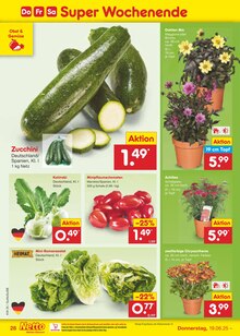 Blumen im aktuellen Netto Marken-Discount Prospekt (Chemnitz) Blumen im Netto Marken-Discount Prospekt "Aktuelle Angebote" mit 63 Seiten (Chemnitz)