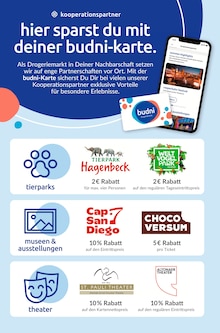 Weihnachtsartikel Angebot im aktuellen budni Prospekt auf Seite 9