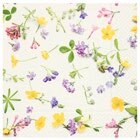 Motivservietten Angebote bei Penny Altenburg für 1,49 €