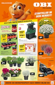 Aktueller OBI Prospekt (Kefferhausen, 4 Seiten zum blättern OBI Prospekt STARTKLAR IN DEN HERBST! mit 4 Seiten