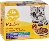 Vitalive Sachets fraîcheur pour chat à Supermarchés Match dans Saint-Hilaire-lez-Cambrai