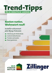 Aktueller Bauzentrum Zillinger Baumarkt Prospekt in Deggendorf und Umgebung, "Trend-Tipps FÜR DIE ENERGETISCHE SANIERUNG" mit 12 Seiten, 14.02.2025 - 23.02.2025