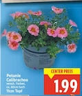 Petunie Calibrachoa im Angebot bei E center in Falkensee Petunie Calibrachoa Angebote bei E center Falkensee für 1,99 €