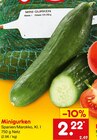 Netto Marken-Discount - Minigurken Angebot im Prospekt Minigurken bei Netto Marken-Discount im Prospekt "" für 2,22 €