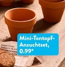 Aktuelles Mini-Tontopf-Anzuchtset Angebot bei ALDI SÜD in Neuss ab 0,99 €