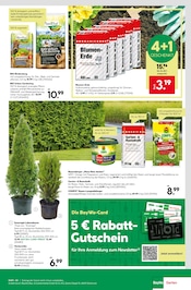 Aktueller BayWa Bau- und Gartenmärkte Prospekt mit Blumentopf, "Richtig gut versorgt", Seite 7