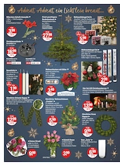 Aktueller V-Markt Prospekt mit Weihnachtsbaumständer, "V-Markt einfach besser einkaufen", Seite 18