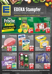 EDEKA Obernbreit Prospekt der aktuellen Woche, gültig von 08.12.2025 bis 13.12.2025 Aktueller EDEKA Obernbreit Prospekt "Wir lieben Lebensmittel!" mit 28 Seiten