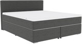 Boxspringbett bei Express im Freudenberg Prospekt für 599,00 €