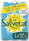 Eau minerale naturelle gazeuse - SALVETAT en promo chez Super U Eau minerale naturelle gazeuse - SALVETAT dans le catalogue Super U