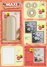 Offre Toile dans le catalogue Maxi Bazar du moment à la page 8