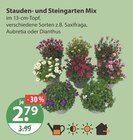 Stauden- und Steingarten Mix im Angebot bei V-Markt in Memmingen Stauden- und Steingarten Mix Angebote bei V-Markt Memmingen für 2,79 €